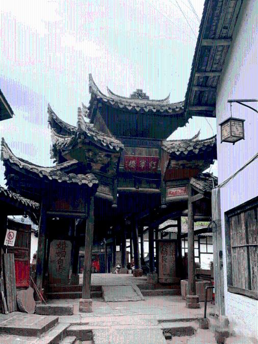 大方县天麻产业高质量发展专题会议召开